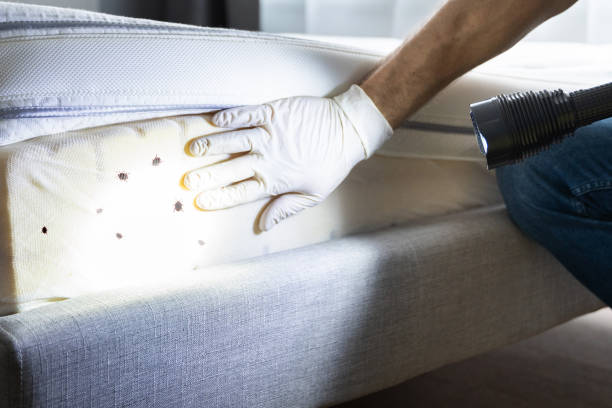 Best Best Pest Control Companies  in Oregon, OH