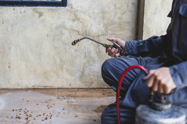 Best Exterminator Services  in Oregon, OH